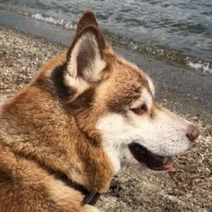 Meet your Posher, Traci